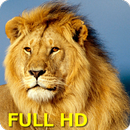 Des sons d'animaux APK