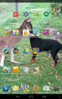 Animal Friends Live Wallpaper Affiche