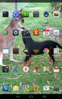 Animal Friends Live Wallpaper Ekran Görüntüsü 1