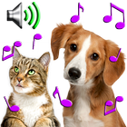 Animal Ringtones آئیکن