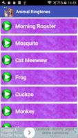 Animal Ringtones پوسٹر