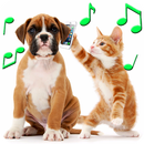 Sonneries animales APK