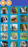 Tierquiz - Tierischer Rätselspaß mit dem Tier Quiz capture d'écran 1