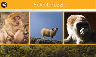 Real Animal Jigsaw Puzzles screenshot 2