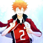 Anime Volleyball Comic Photo icône