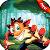 Crassh Adventure APK
