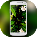 Theme for Galaxy S8 APK