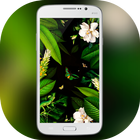 Qovex pro icon