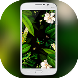 Qovex pro icon