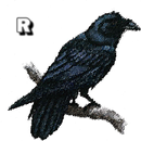 FLAPPY RAVENS GOTHIC APK