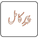 Peer e Kamil  by Umera Ahmed. APK