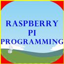 Programmation RaspberryPi APK