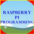 Programmation RaspberryPi icône