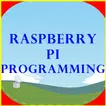 RaspberryPi Programming