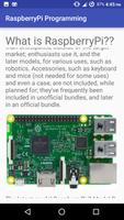 Programmation RaspberryPi capture d'écran 1