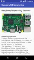 RaspberryPi Programming captura de pantalla 2