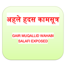 Wahabi Kamasutra (Hindi) APK