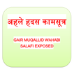 Wahabi Kamasutra (Hindi)