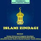 Islami Zindagi иконка
