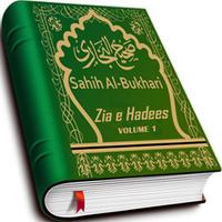 Zia e Hadees (Vol 1) تصوير الشاشة 1