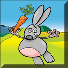 Fun Bunny Game icon