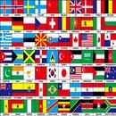 Guess the Flag APK