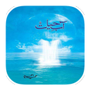 Aab E Hayat Complete Novel APK