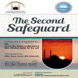 The second safeguard 圖標