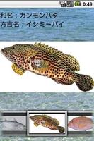 沖縄釣魚図鑑 captura de pantalla 2