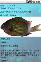 3 Schermata 沖縄釣魚図鑑