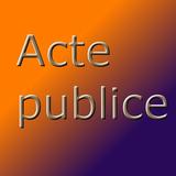 Acte Publice - Info Juridic icône
