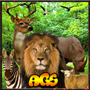 Jungle Zone Animal Hunter 3D APK