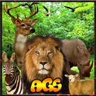 Jungle Zone Animal Hunter 3D icône