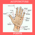 ACUPUNCTURE POINTS icono