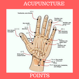 ACUPUNCTURE POINTS icône