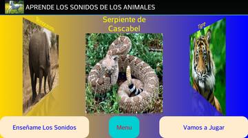 Animals Sounds, learn Spanish Affiche