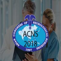 ACNS 2018 captura de pantalla 2