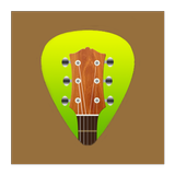 Icona Acoustic Guitar Tuners