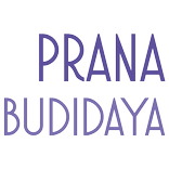 Prana Budidaya