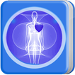 Anatomy of Human Body Organs