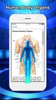 Anatomy of Human Body Organs poster