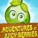 Adventures Of Juicy Berries APK