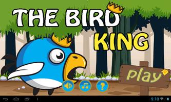 the bird king adventures poster