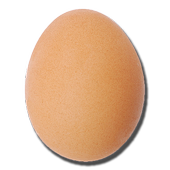 Egg cracker