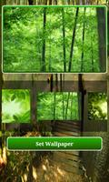 Natural wallpaper HD スクリーンショット 2