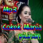 Mp3 Cokek Mania & Video 圖標