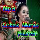 Mp3 Cokek Mania & Video أيقونة