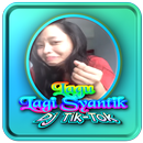 Lagi Syantik - MP3 dan Video APK