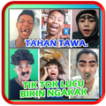 Video Tik Tok Lucu Koplak