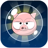 Piggies & Birds Space